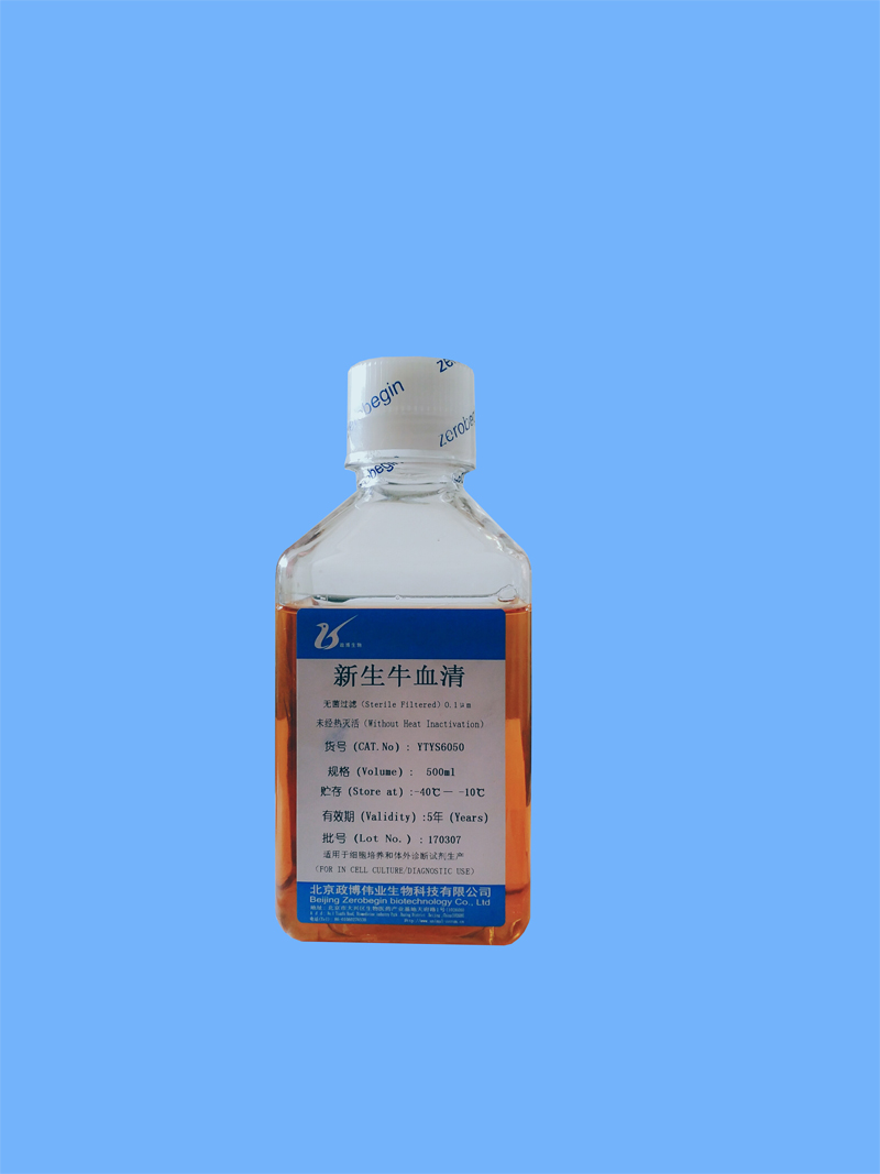 ����ţѪ��