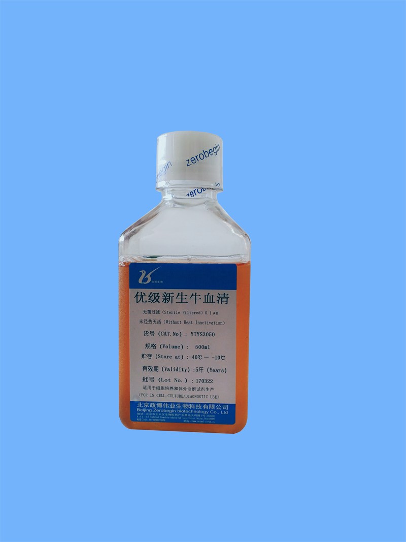 �ż�����ţѪ��